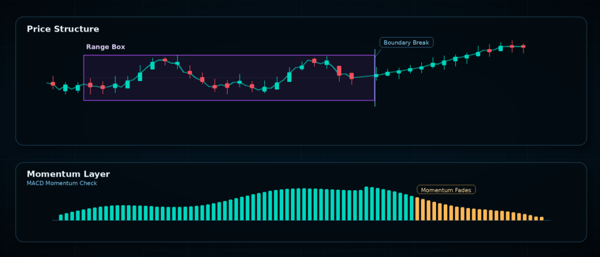 PMD Observation Layer. Price pushes. Momentum fades.